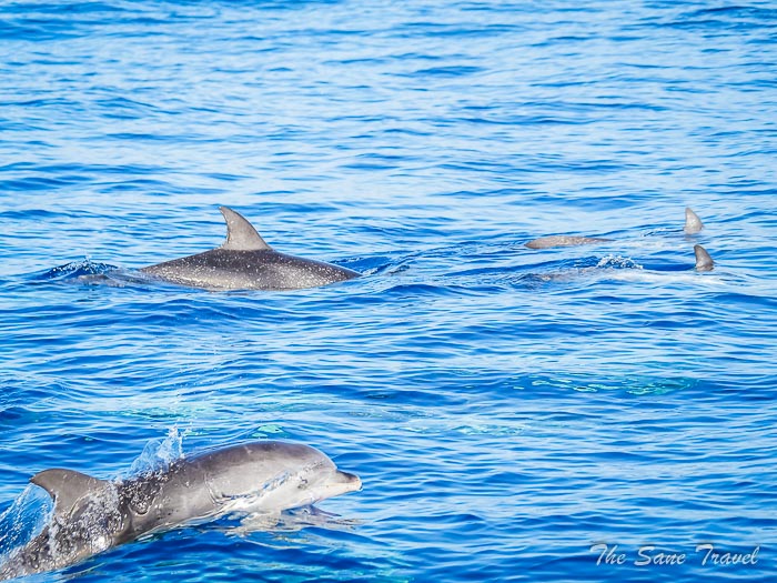 68 puertorico thesanetravel.comP1286423