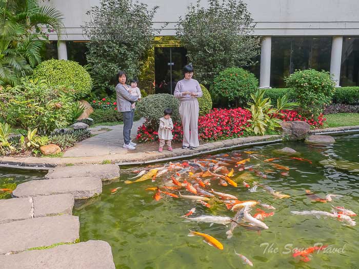 77 garden thesanetravel.com P1567623