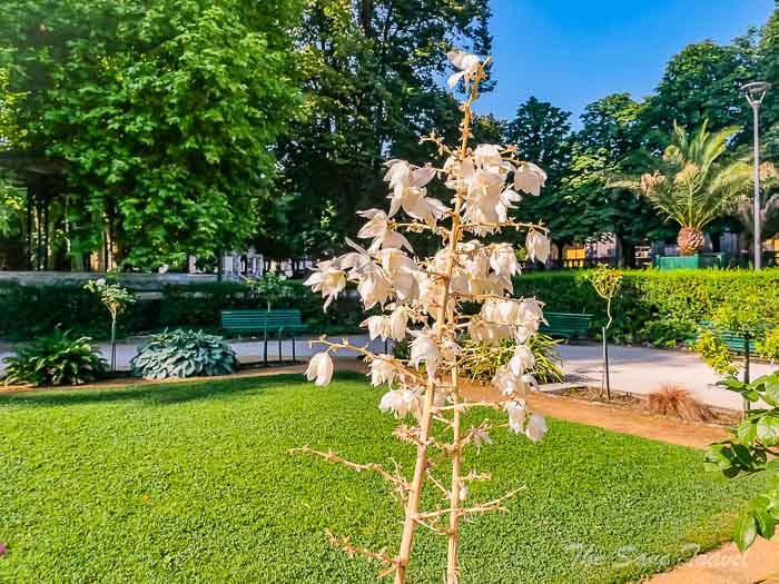 26 jardin thesanetravel.com P1613444