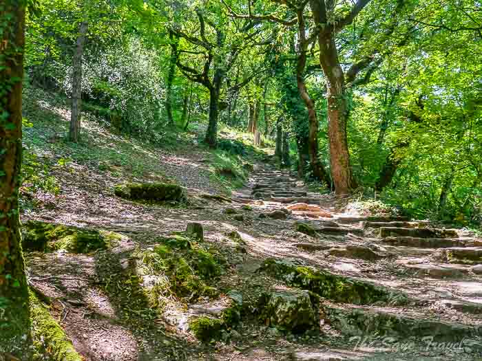 81 river thesanetravel.com 20250619 155631