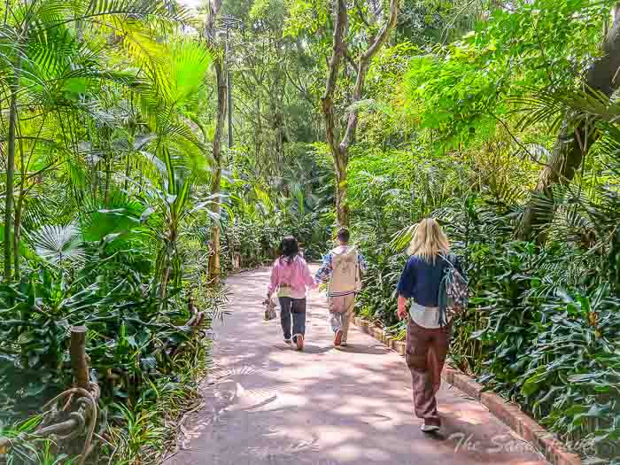 202chimelong thesanetravel.com P1567745