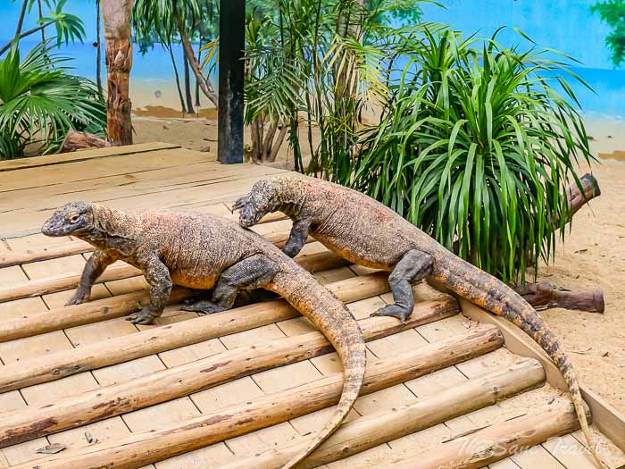 208chimelong thesanetravel.com P1567888