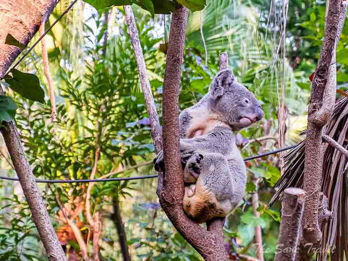 210chimelong thesanetravel.com P1567900