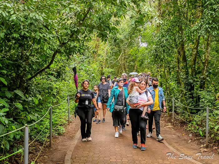 28 iguazu falls thesanetravel.comP1263458