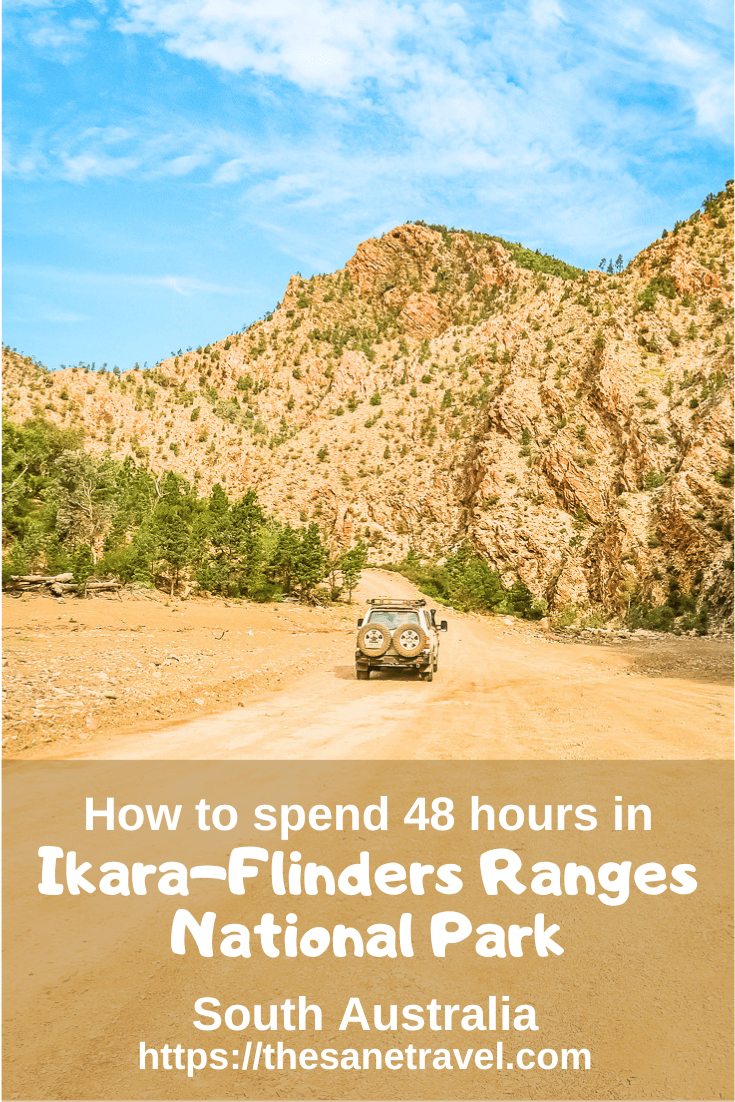 IkaraS