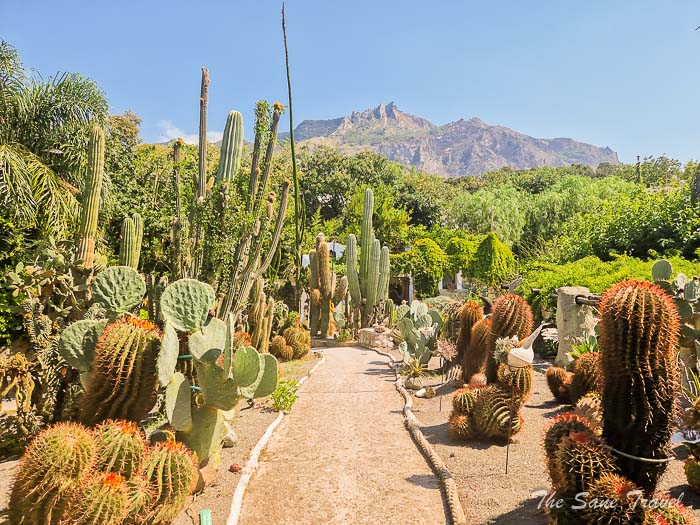 16 cactus ischia thesanetravel.com20230906 131801