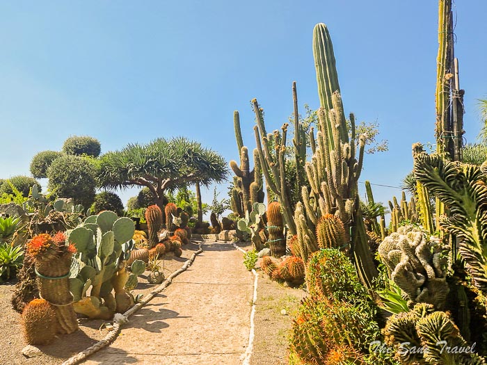 17 cactus ischia thesanetravel.com20230906 131846