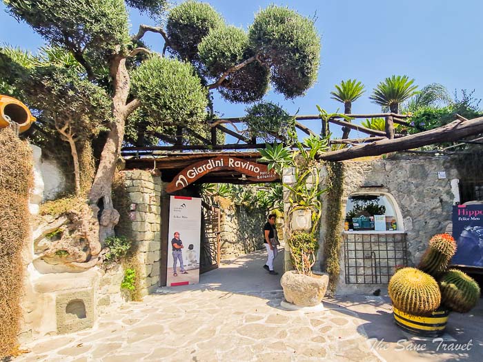 18 cactus ischia thesanetravel.com20230906 132038