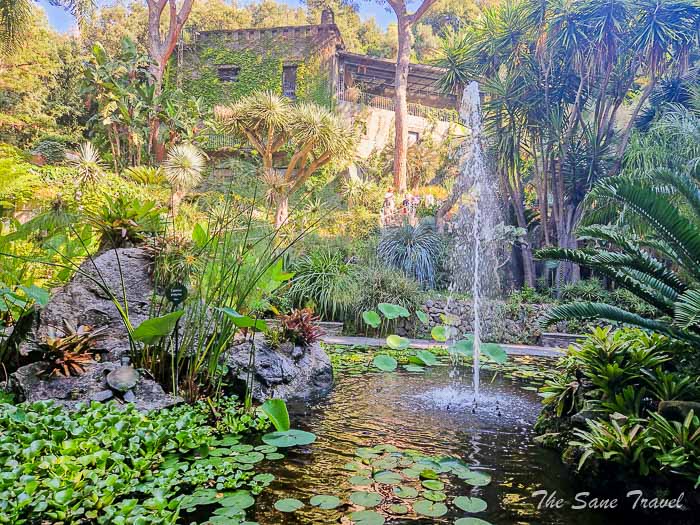 21 la mortella ischia thesanetravel.com20230907 100551