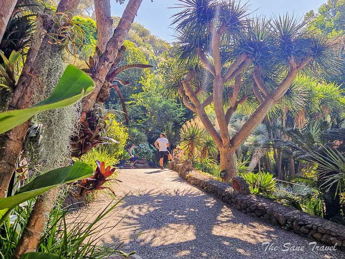 22 la mortella ischia thesanetravel.com20230907 101111