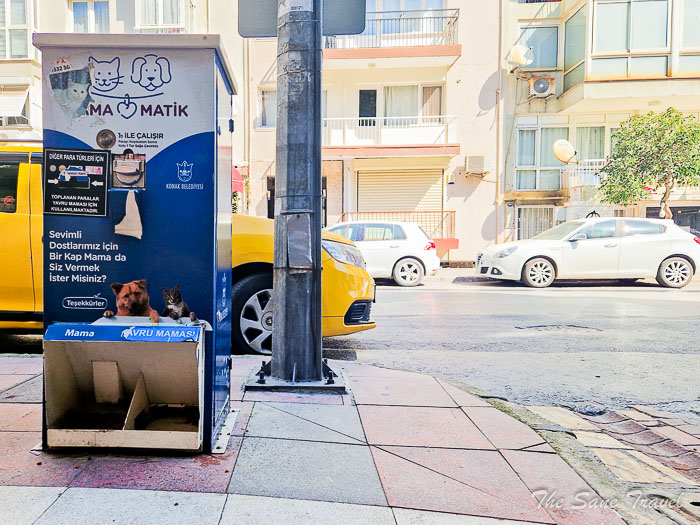 56 dogs izmir thesanetravel.com20230413 104931