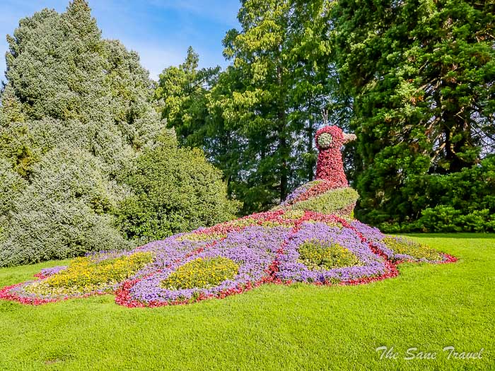57 mainau thesanetravel.com P1345575