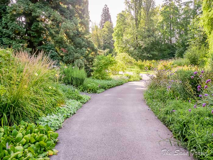 58 mainau thesanetravel.com P1345584