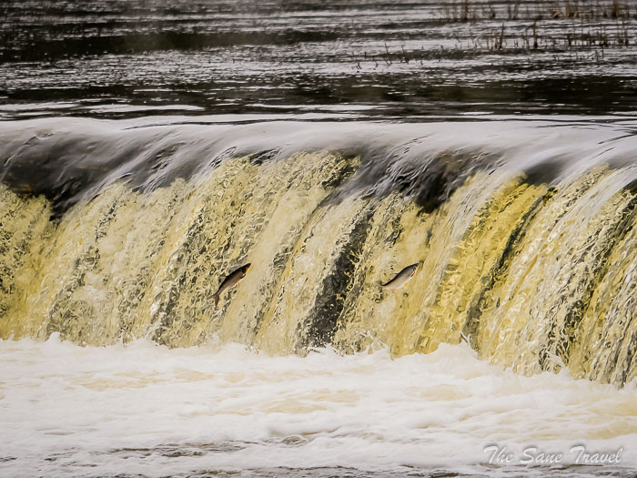 57 venta rapid kuldiga sthesanetravel.comP1027489