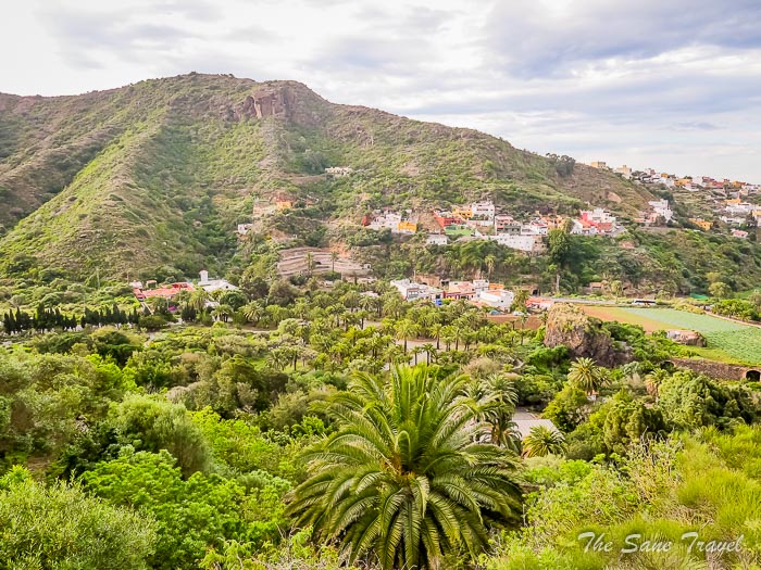 81 botanical garden las palmas thesanetravel.comP1275382