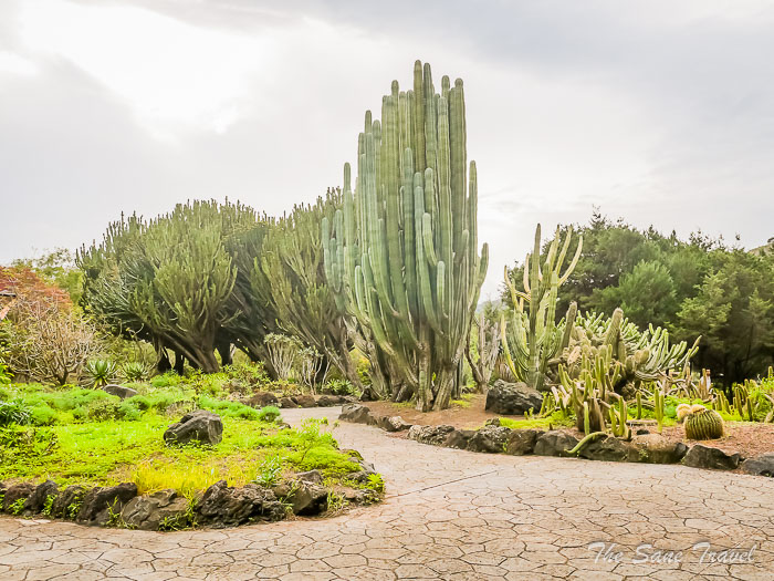 87 botanical garden las palmas thesanetravel.comP1275426