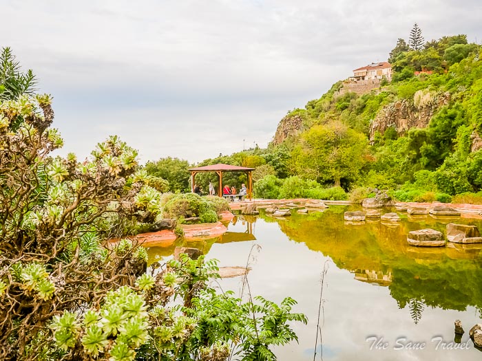 89 botanical garden las palmas thesanetravel.comP1275444