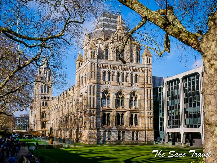 40 natural history museum thesanetravel.com P1650761