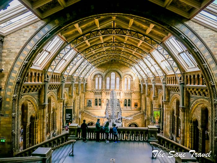 41 natural history museum thesanetravel.com P1650792