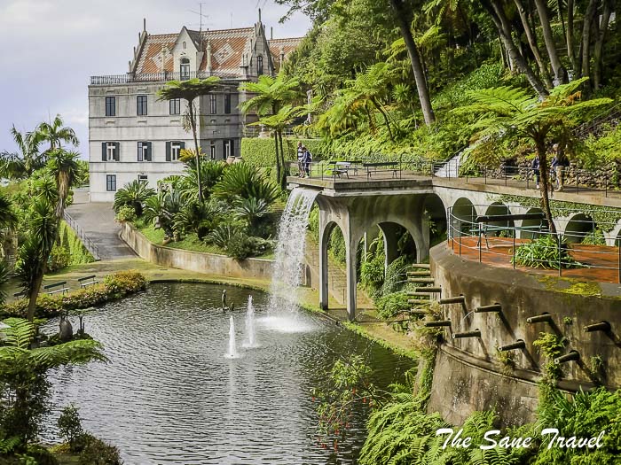 36 funchal madeira thesanetravel.com P1122269