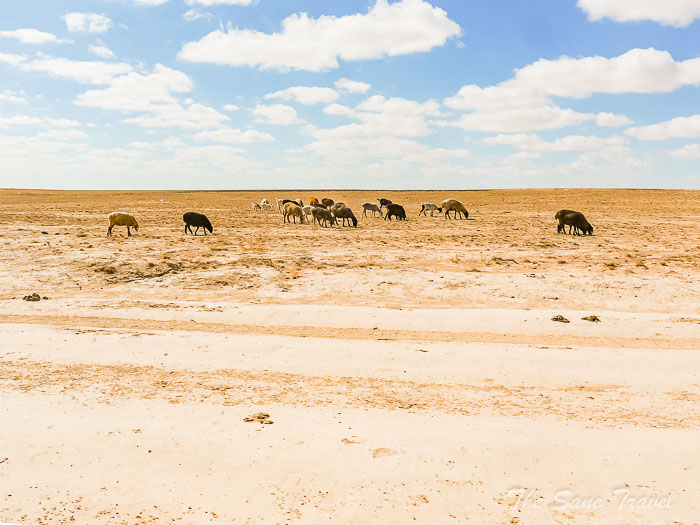 14 1 day mangistau thesanetravel.com P1647427