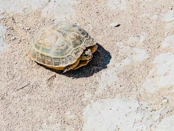 18 1 day mangistau thesanetravel.com P1647453