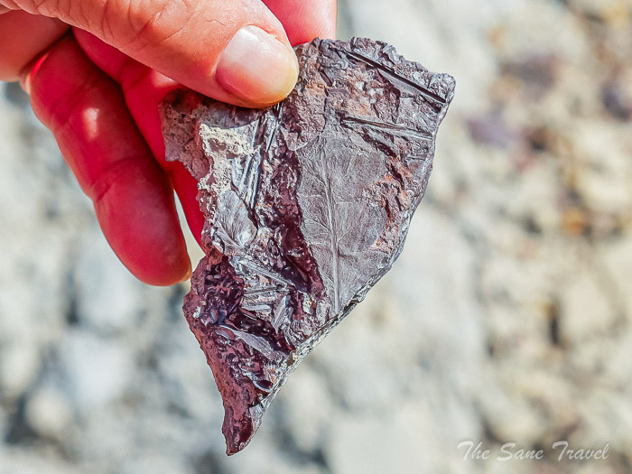 217 5 day mangistau thesanetravel.com P1658718