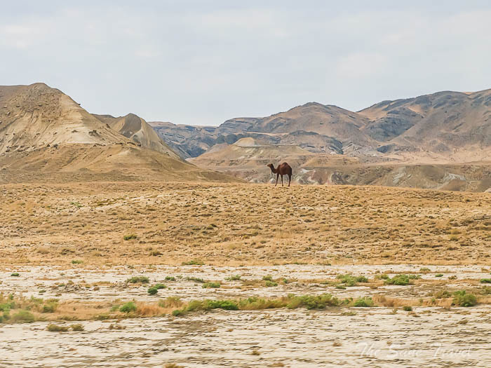 226 5 day mangistau thesanetravel.com P1658767