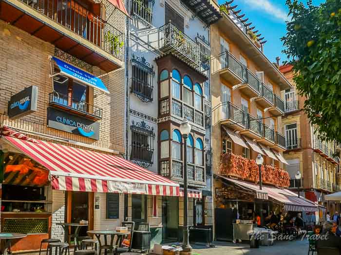 73 las flores murcia thesanetravel.com P1488231