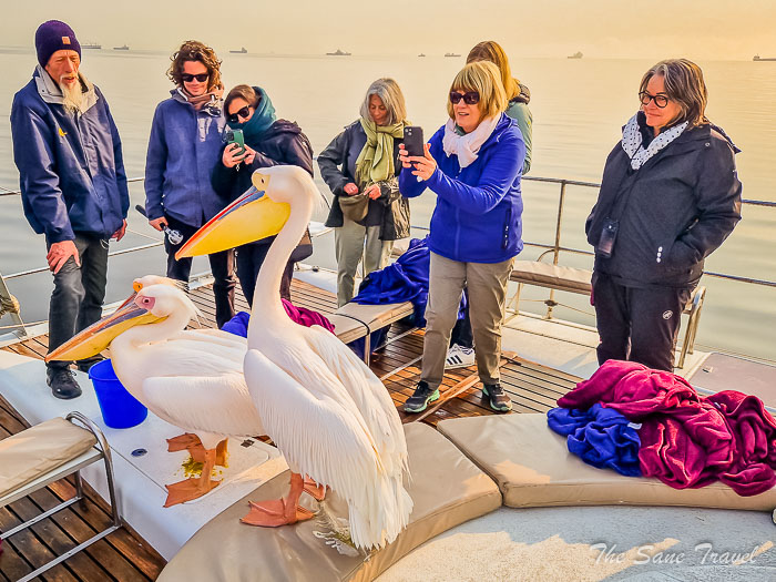 16 namibia packing thesanetravel.com 20240913 090322