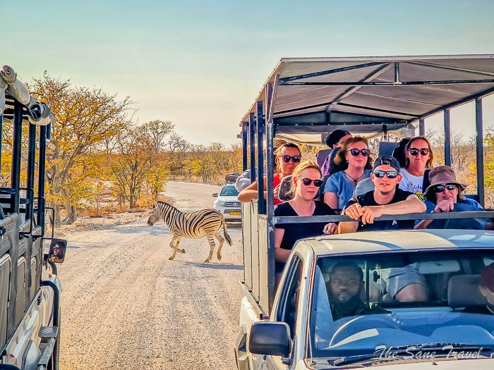 22 namibia packing thesanetravel.com 20240917 165219(0)