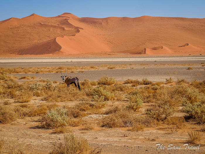 14 naukluft thesanetravel.com P1432014