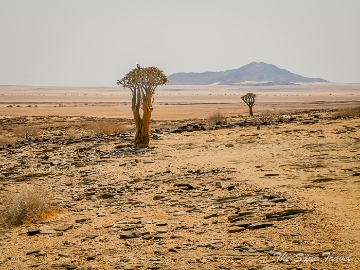 29 kuiseb thesanetravel.com P1432515