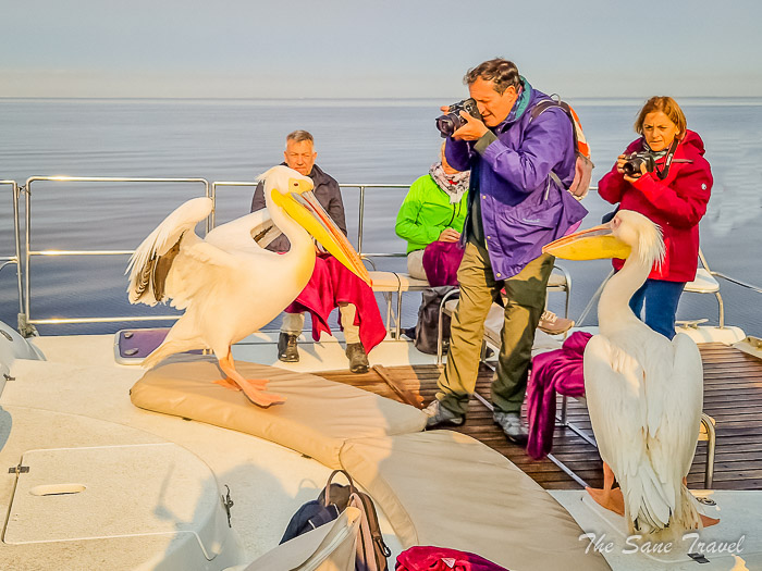 32 walvis bay thesanetravel.com 20240913 090051