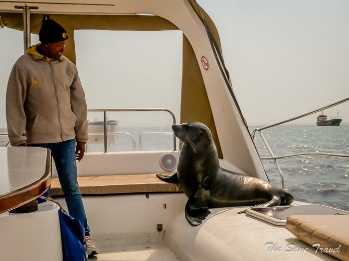 38 walvis bay thesanetravel.com P1442907