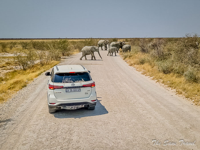 68 etosha thesanetravel.com 20240918 115752