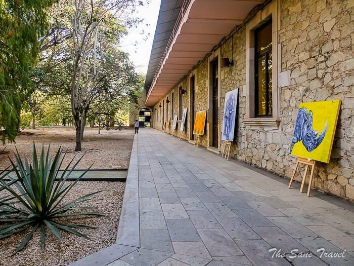 38 botanic oaxaca thesanetravel.comP1298301