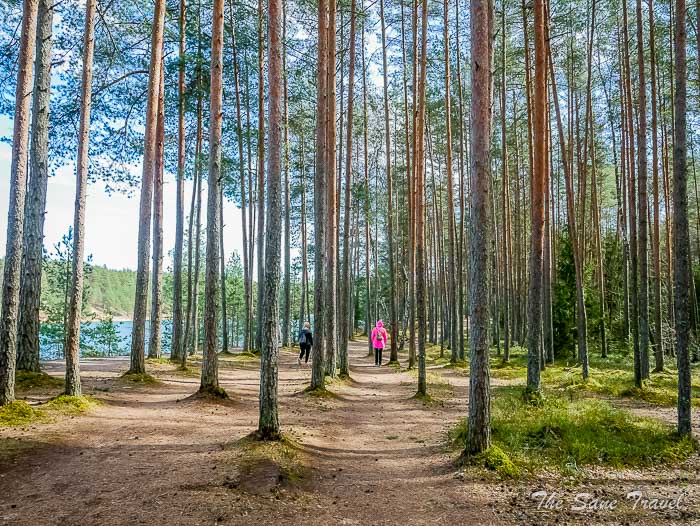 78 blue hills ogre thesanetravel.comP1970594