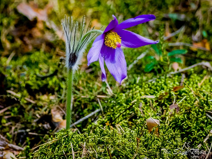 85 blue hills ogre thesanetravel.comP1970556