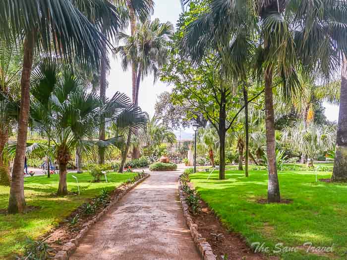 85 palazzo normanni thesanetravel.com P1578460