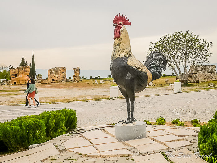 56 rooster hierapolis thesanetravel.com P1310852