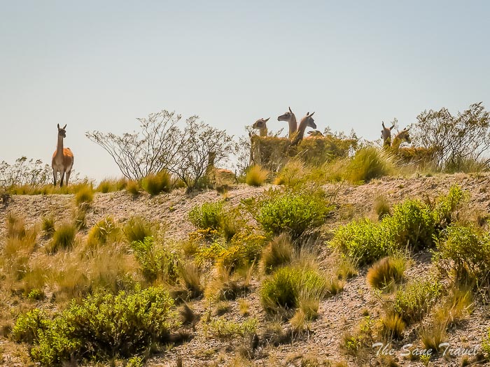 10 valdes thesanetravel.comP1263648