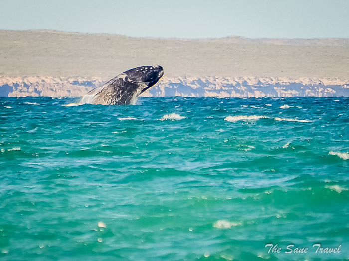 113 playa el doradilo thesanetravel.comP1274278