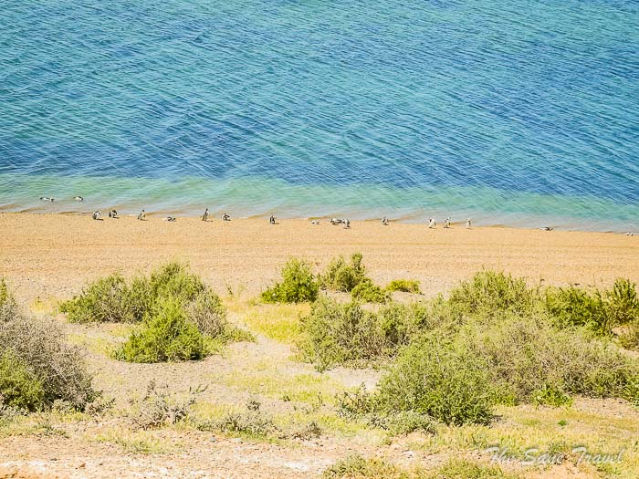 16 valdes thesanetravel.comP1263679