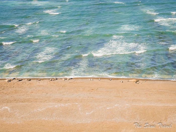 21 valdes thesanetravel.comP1263701