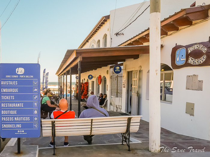 30 whale watching thesanetravel.comP1263734