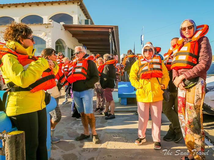 32 whale watching thesanetravel.comP1263736