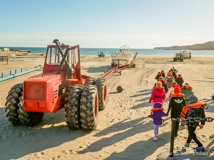 33 whale watching thesanetravel.comP1263739