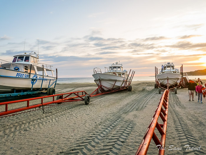 43 whale watching thesanetravel.comP1263875