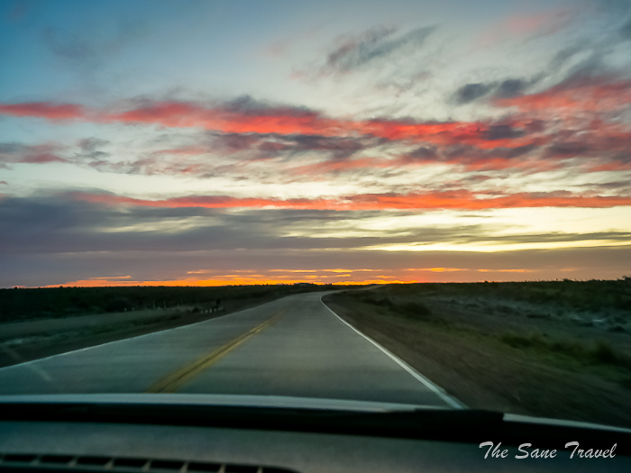 44 whale watching thesanetravel.comP1263876